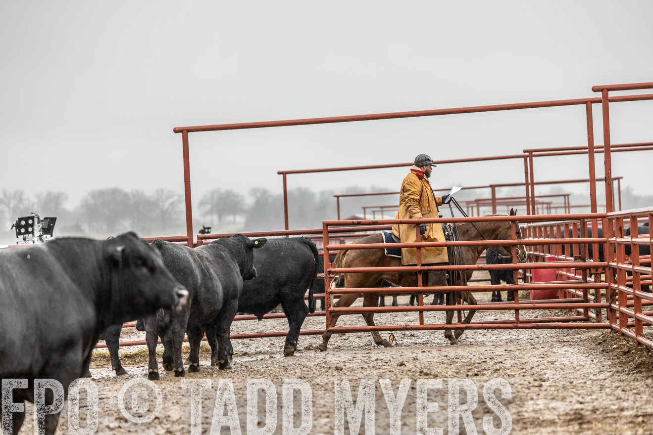 44Farms_Cameron_SpringBullSale_Feb2022-522319