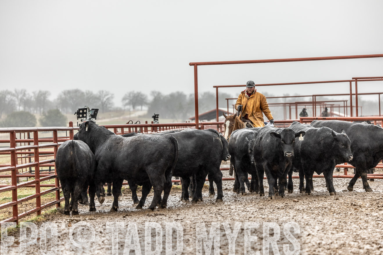 44Farms_Cameron_SpringBullSale_Feb2022-522366