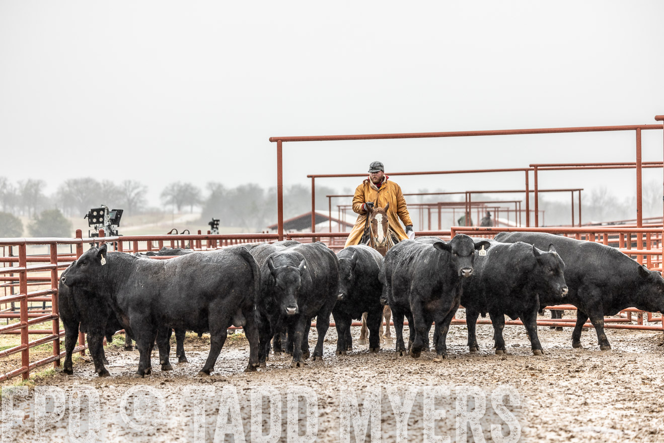 44Farms_Cameron_SpringBullSale_Feb2022-522378