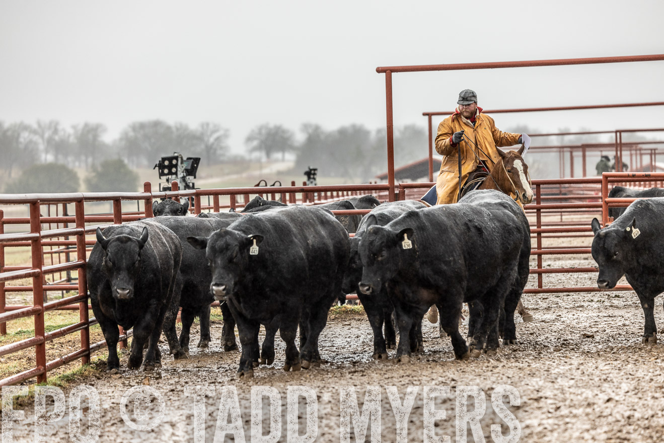 44Farms_Cameron_SpringBullSale_Feb2022-522398