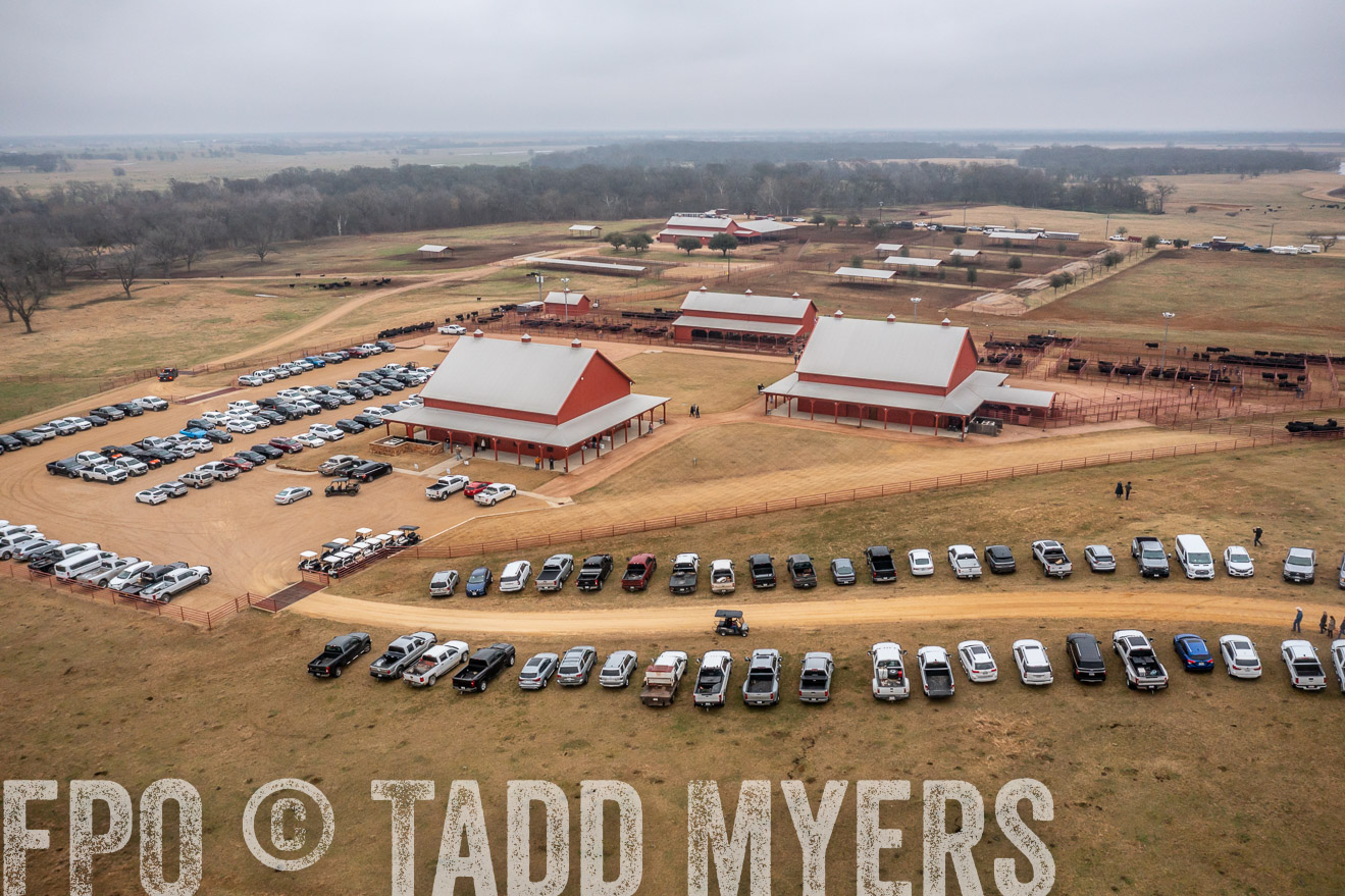 44Farms_Cameron_SpringBullSale_Feb2022-0445