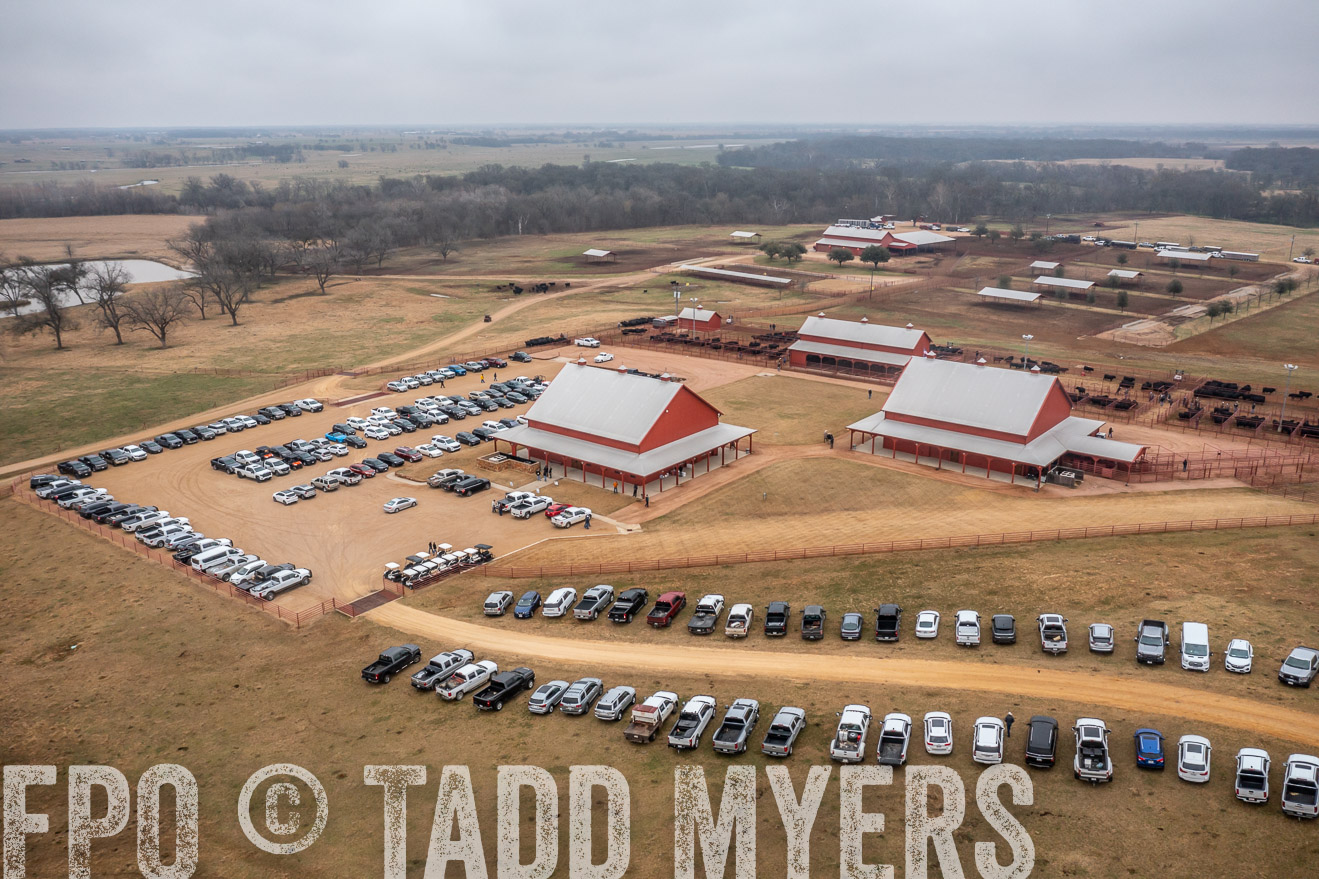 44Farms_Cameron_SpringBullSale_Feb2022-0465