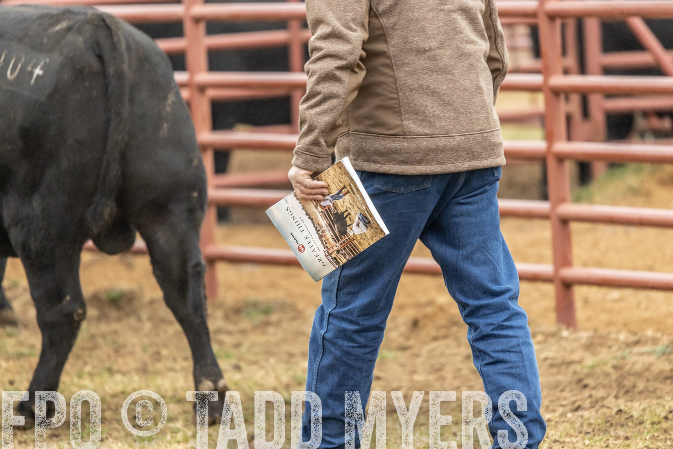 44Farms_Cameron_SpringBullSale_Feb2022-521369