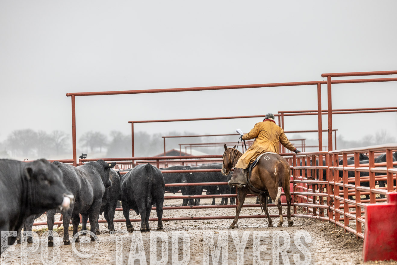 44Farms_Cameron_SpringBullSale_Feb2022-522311