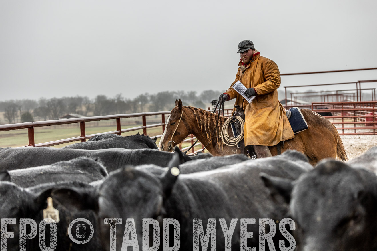 44Farms_Cameron_SpringBullSale_Feb2022-522516