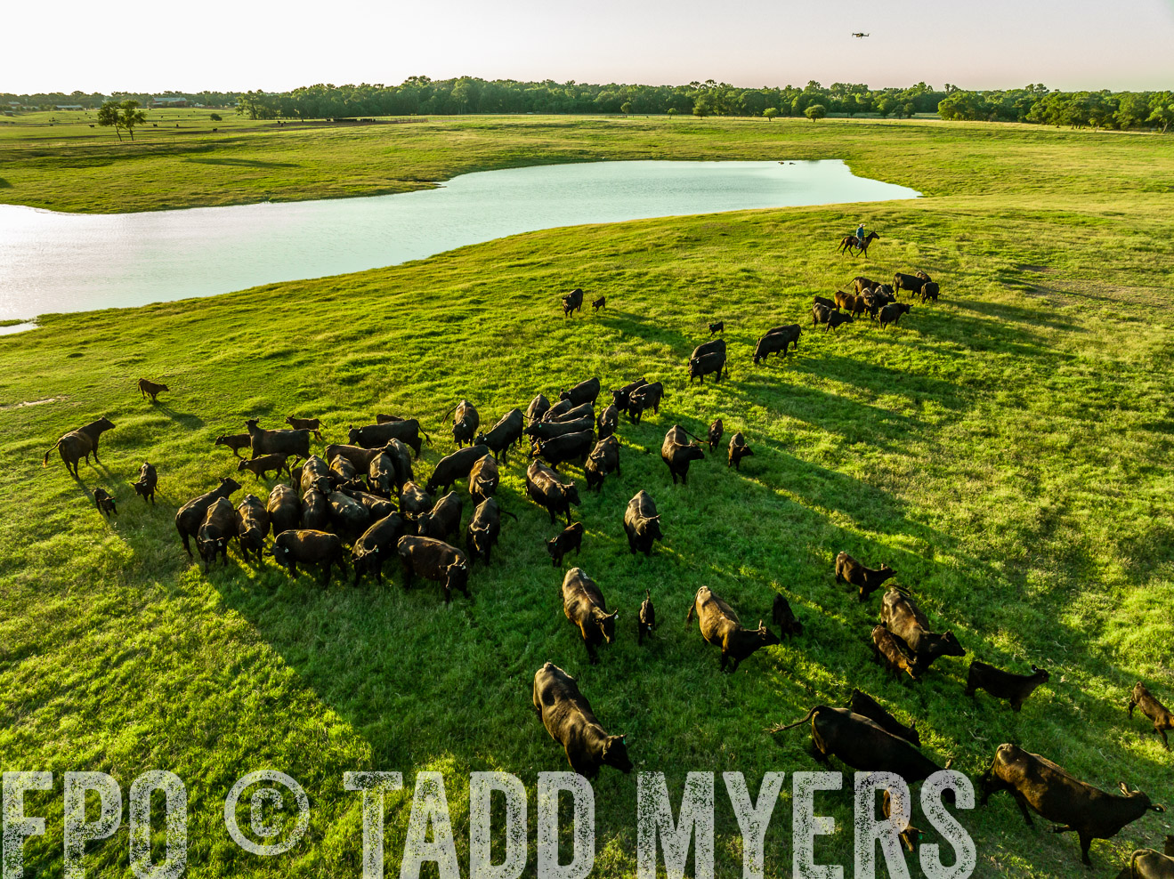 TMyers_Cameron_June2022-0032