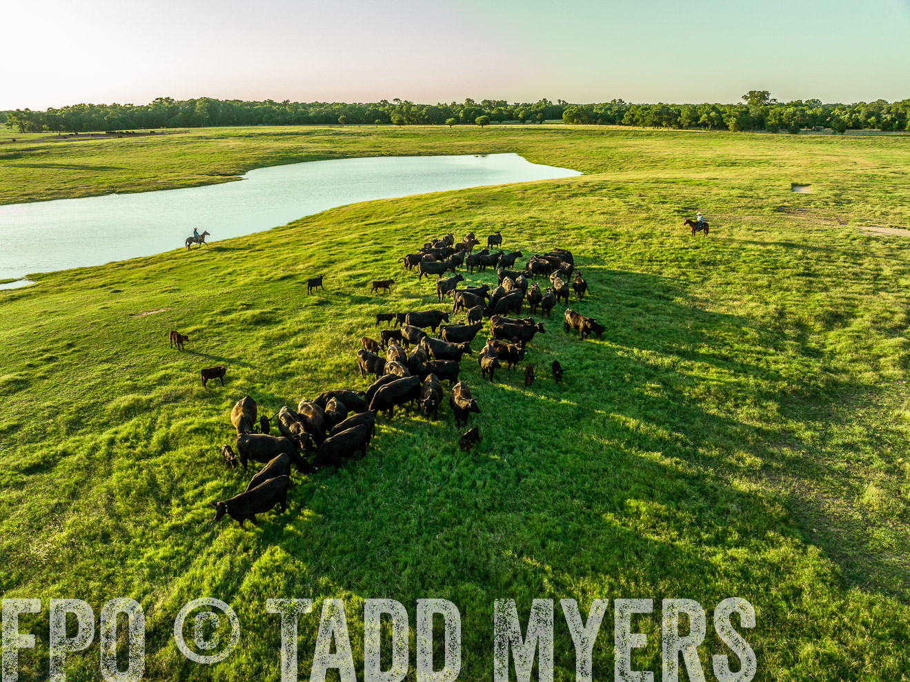 TMyers_Cameron_June2022-0044