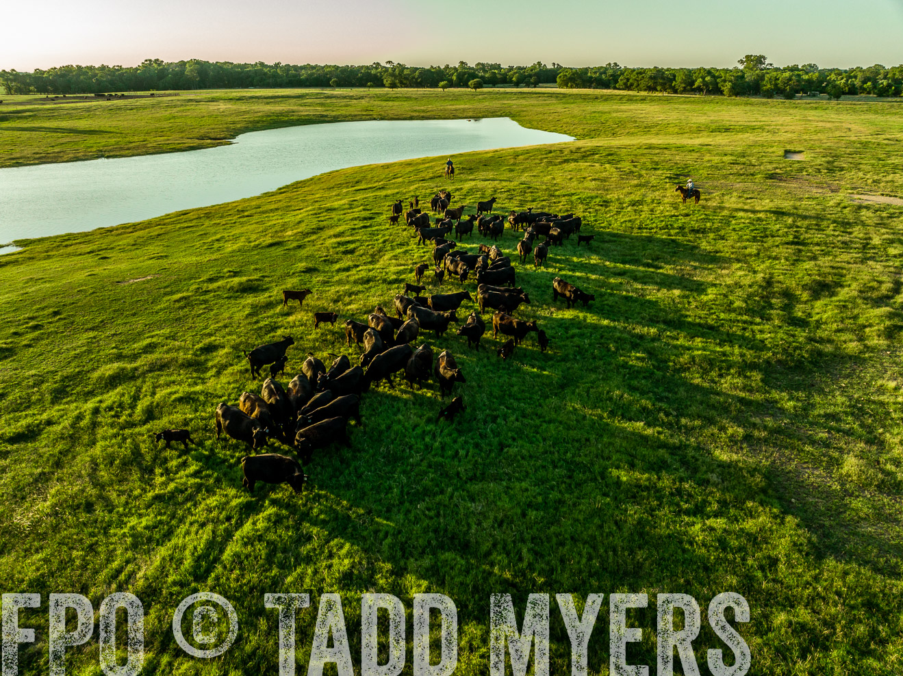 TMyers_Cameron_June2022-0046