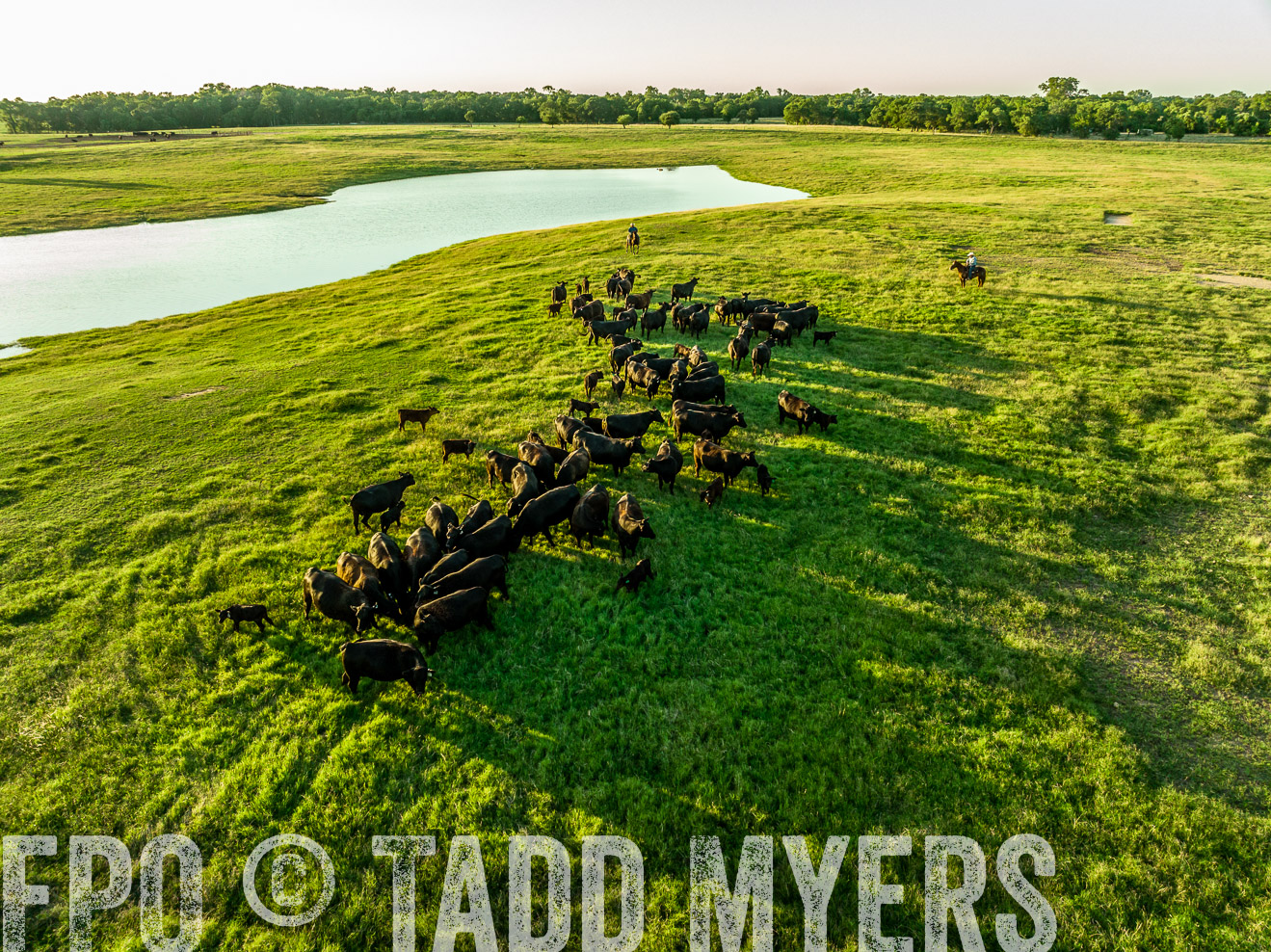 TMyers_Cameron_June2022-0048