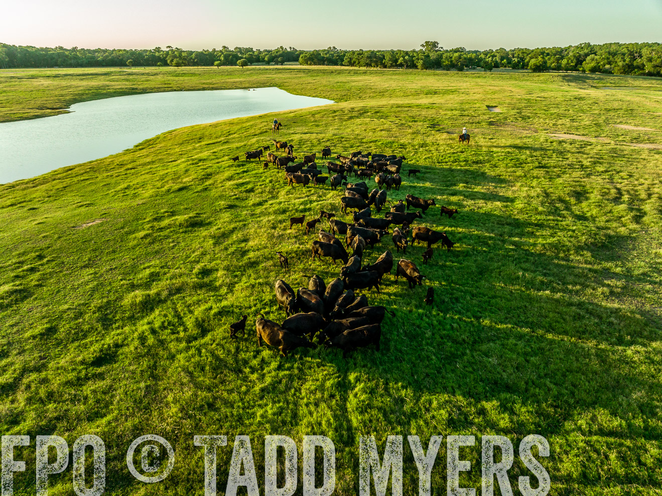 TMyers_Cameron_June2022-0049