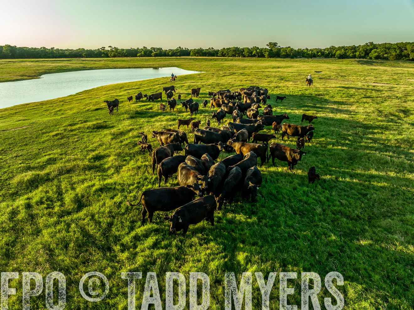 TMyers_Cameron_June2022-0052