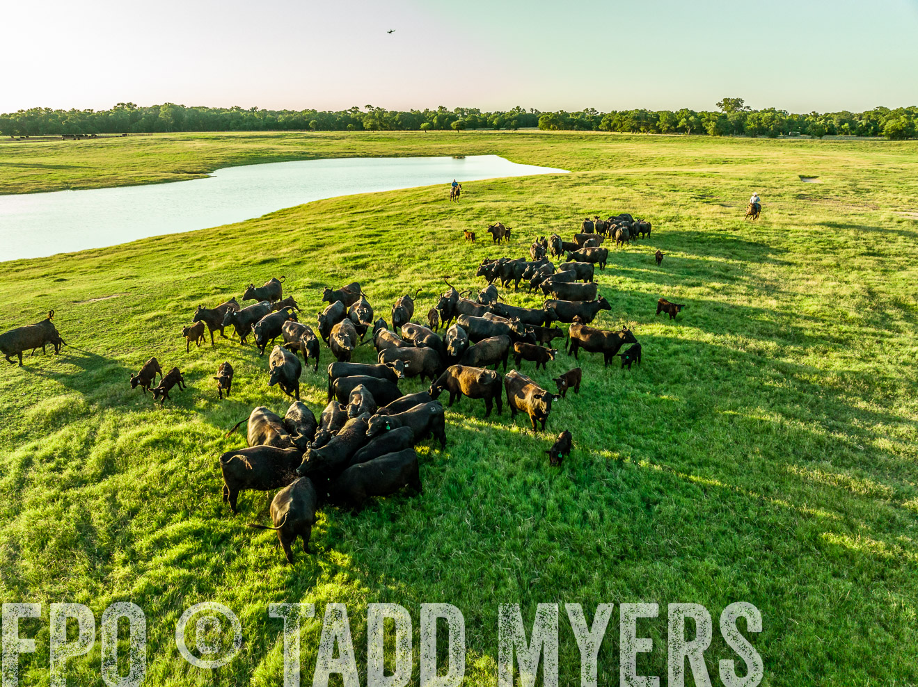 TMyers_Cameron_June2022-0057