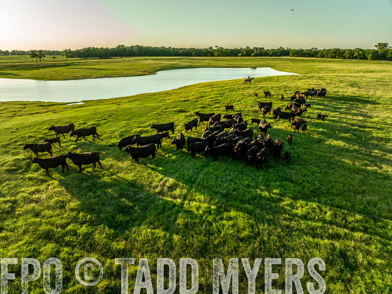 TMyers_Cameron_June2022-0058