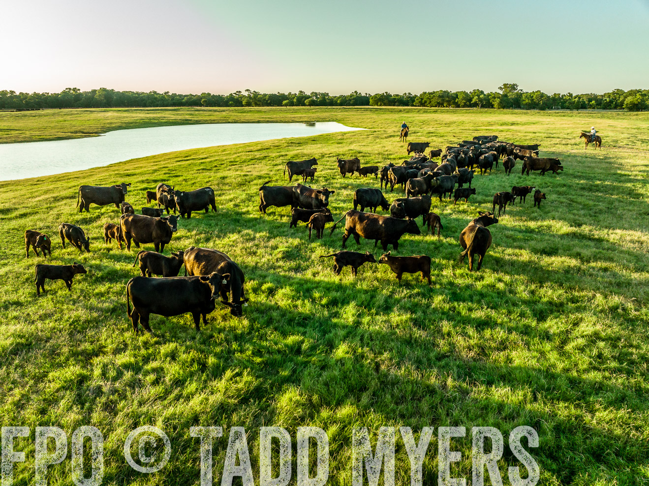 TMyers_Cameron_June2022-0077