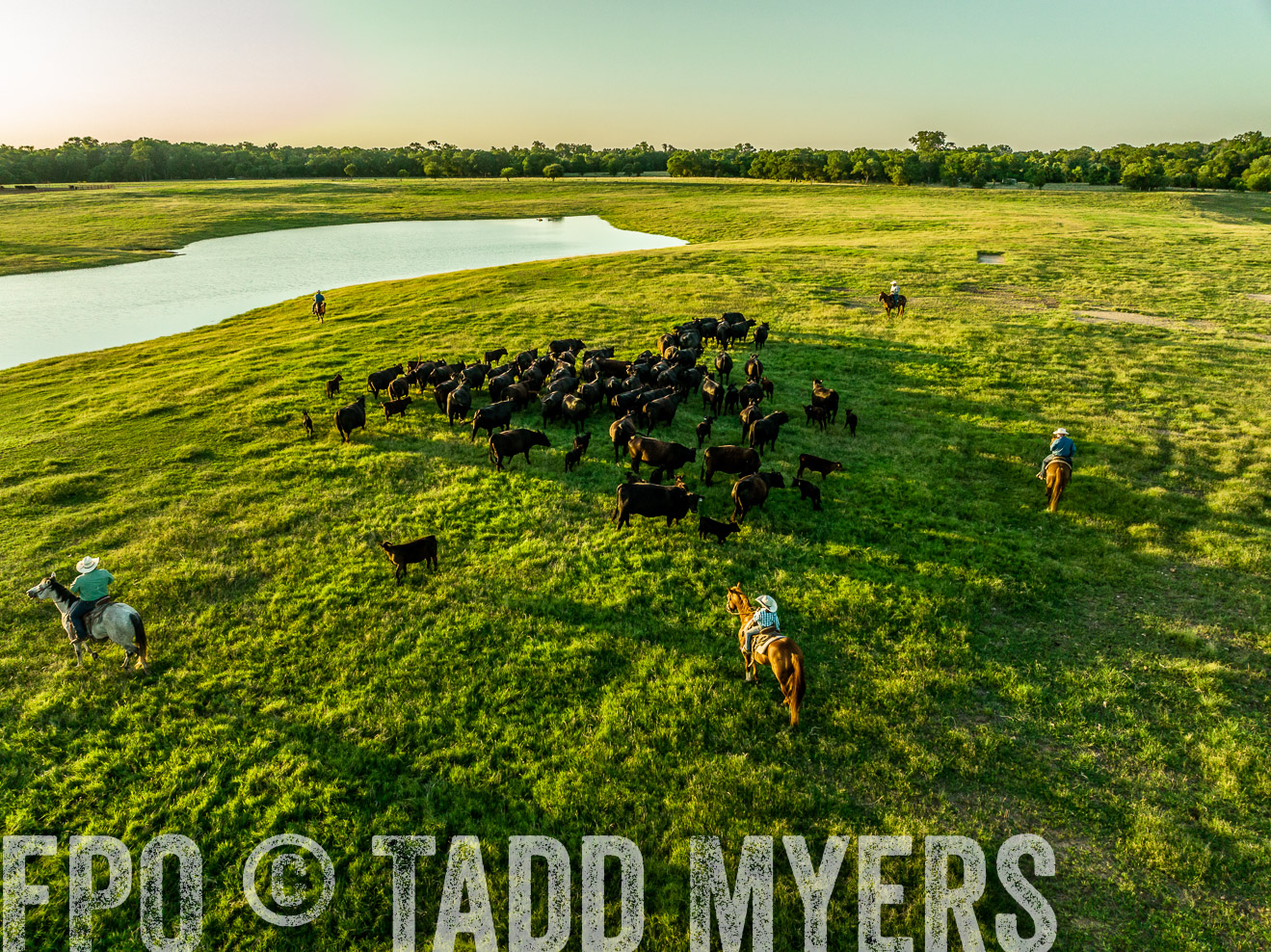 TMyers_Cameron_June2022-0121