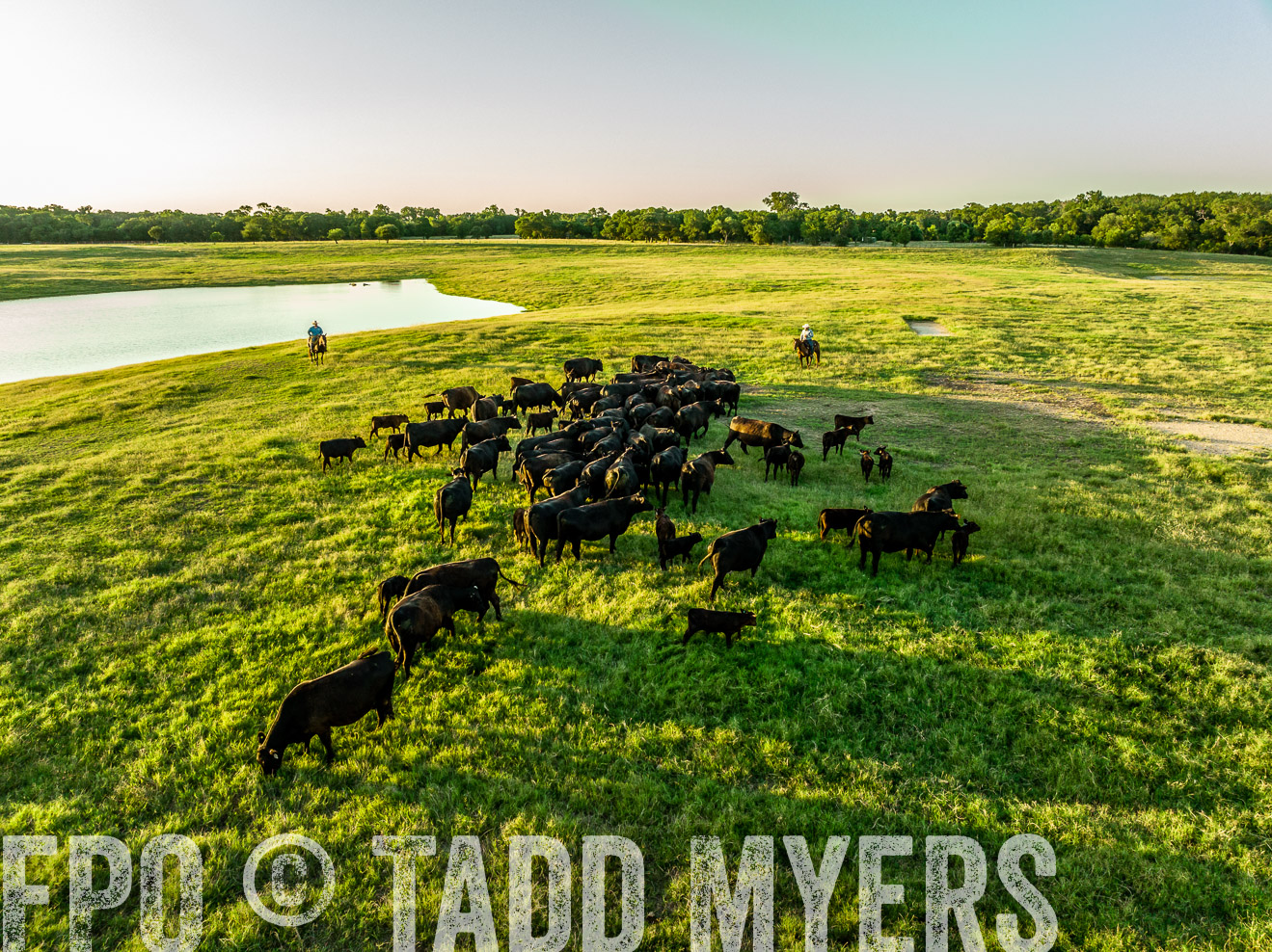TMyers_Cameron_June2022-0142