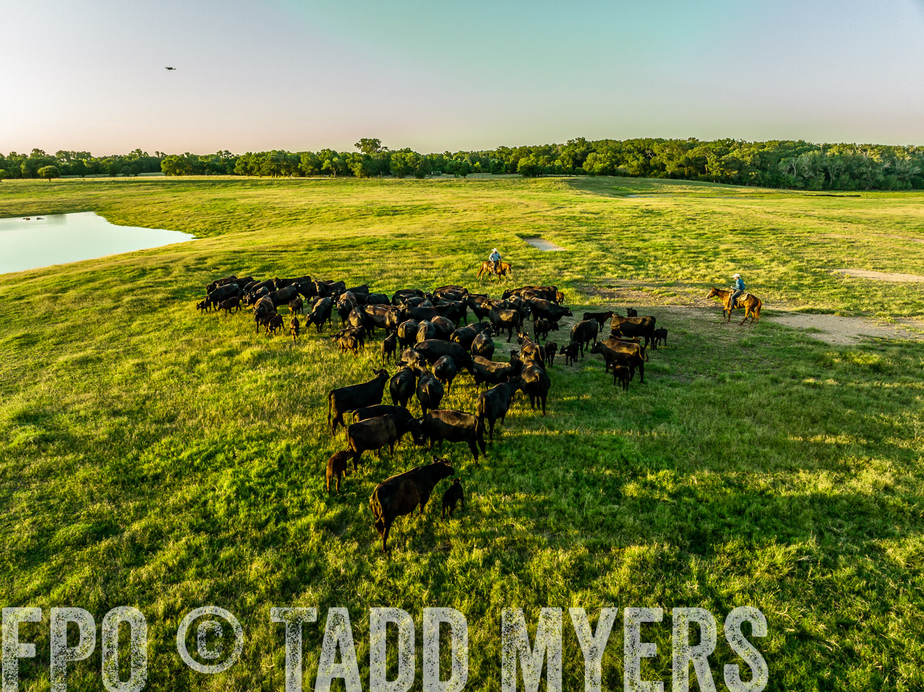 TMyers_Cameron_June2022-0154