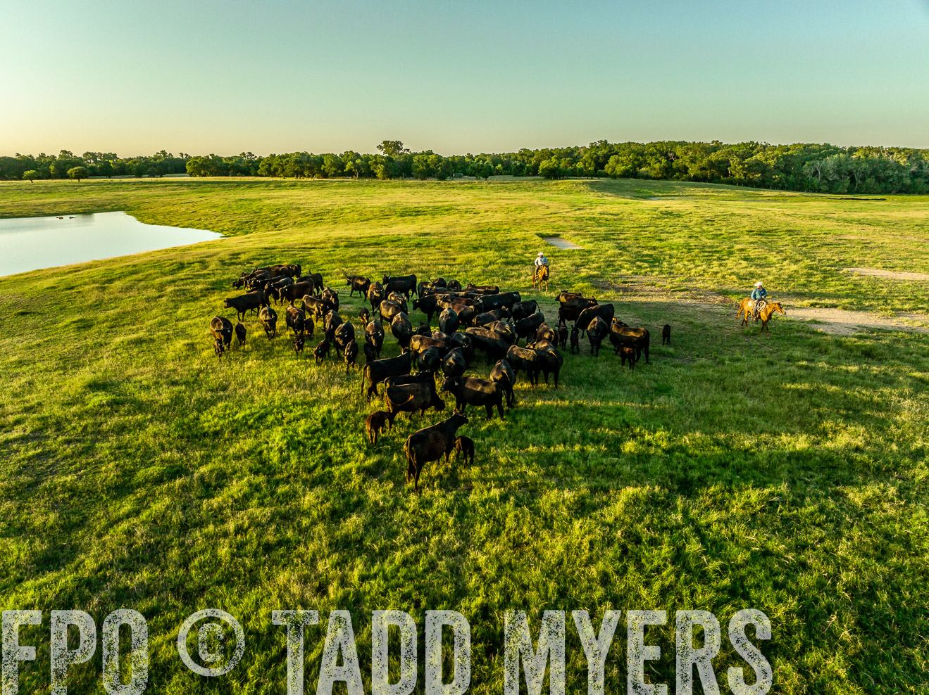 TMyers_Cameron_June2022-0160
