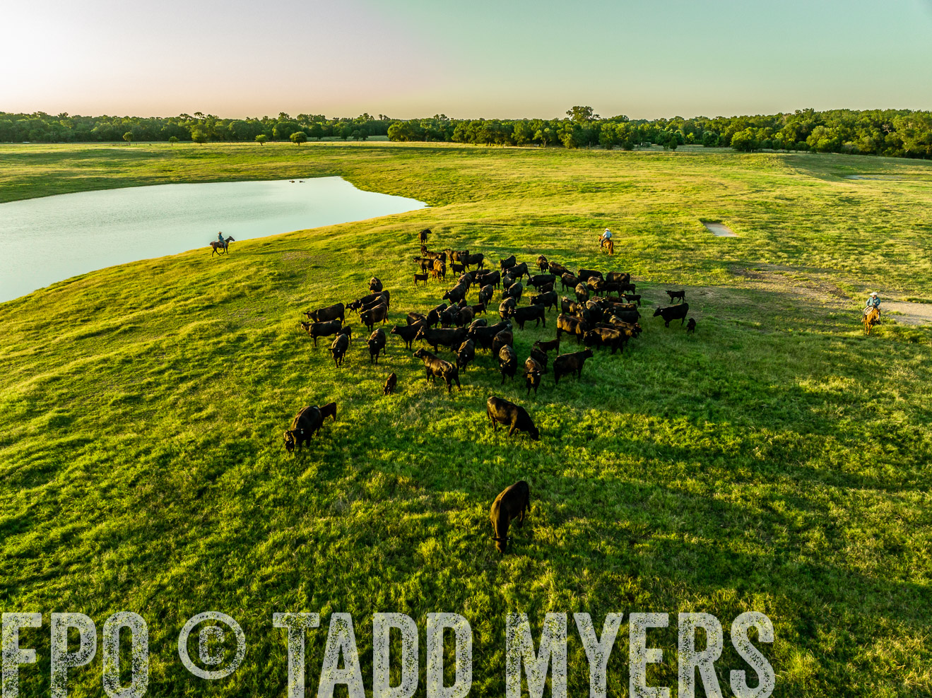TMyers_Cameron_June2022-0186