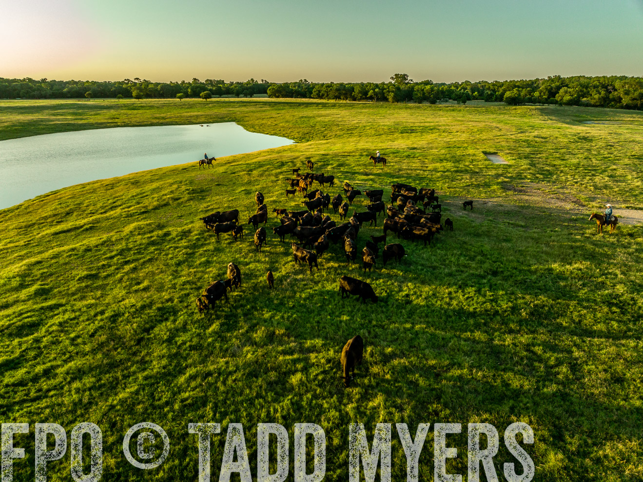 TMyers_Cameron_June2022-0187