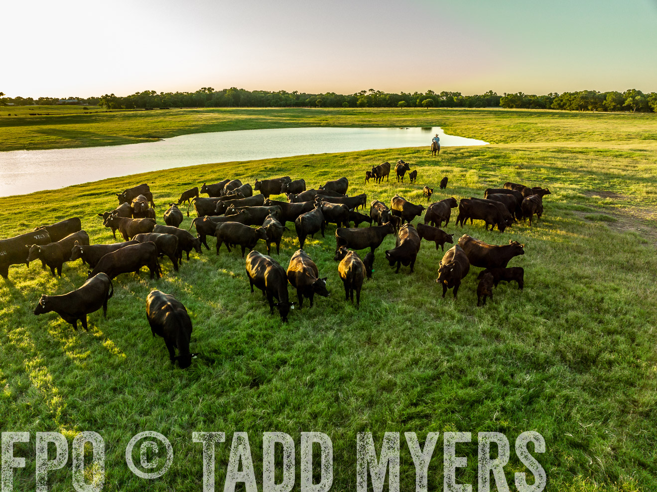 TMyers_Cameron_June2022-0221