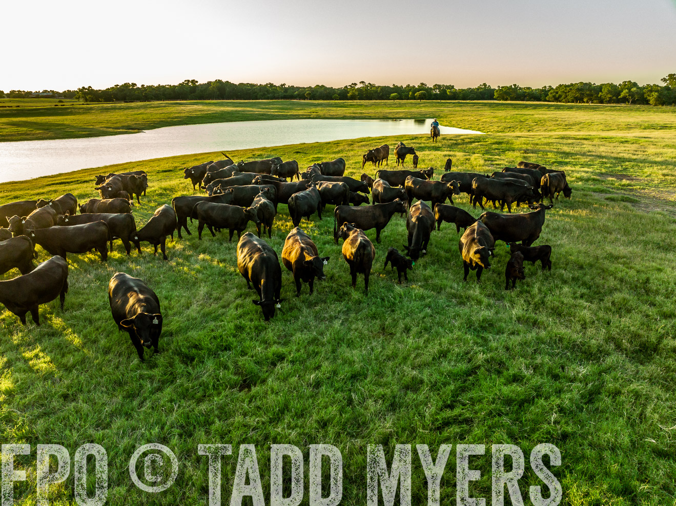 TMyers_Cameron_June2022-0224