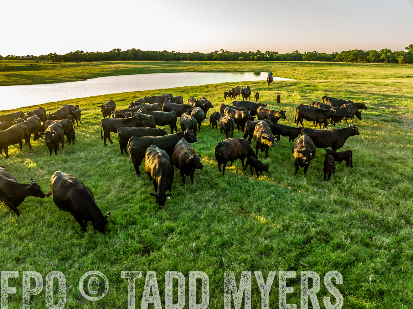 TMyers_Cameron_June2022-0230