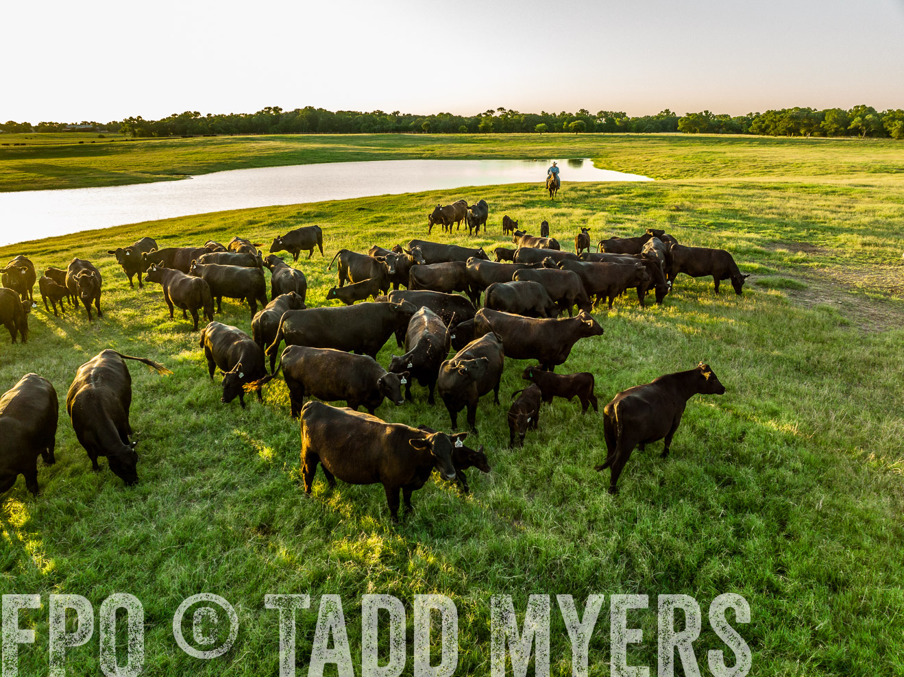 TMyers_Cameron_June2022-0236