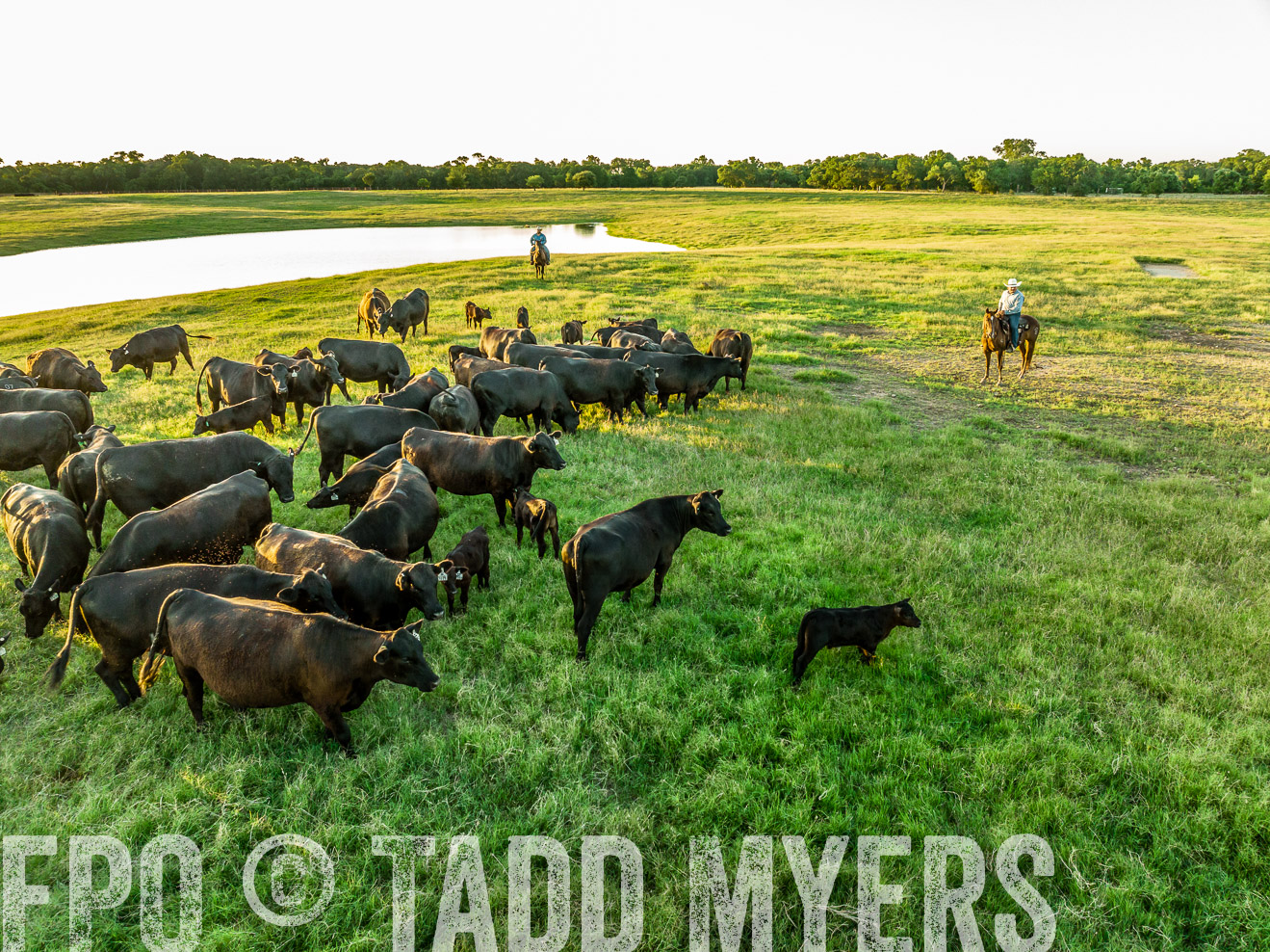 TMyers_Cameron_June2022-0238