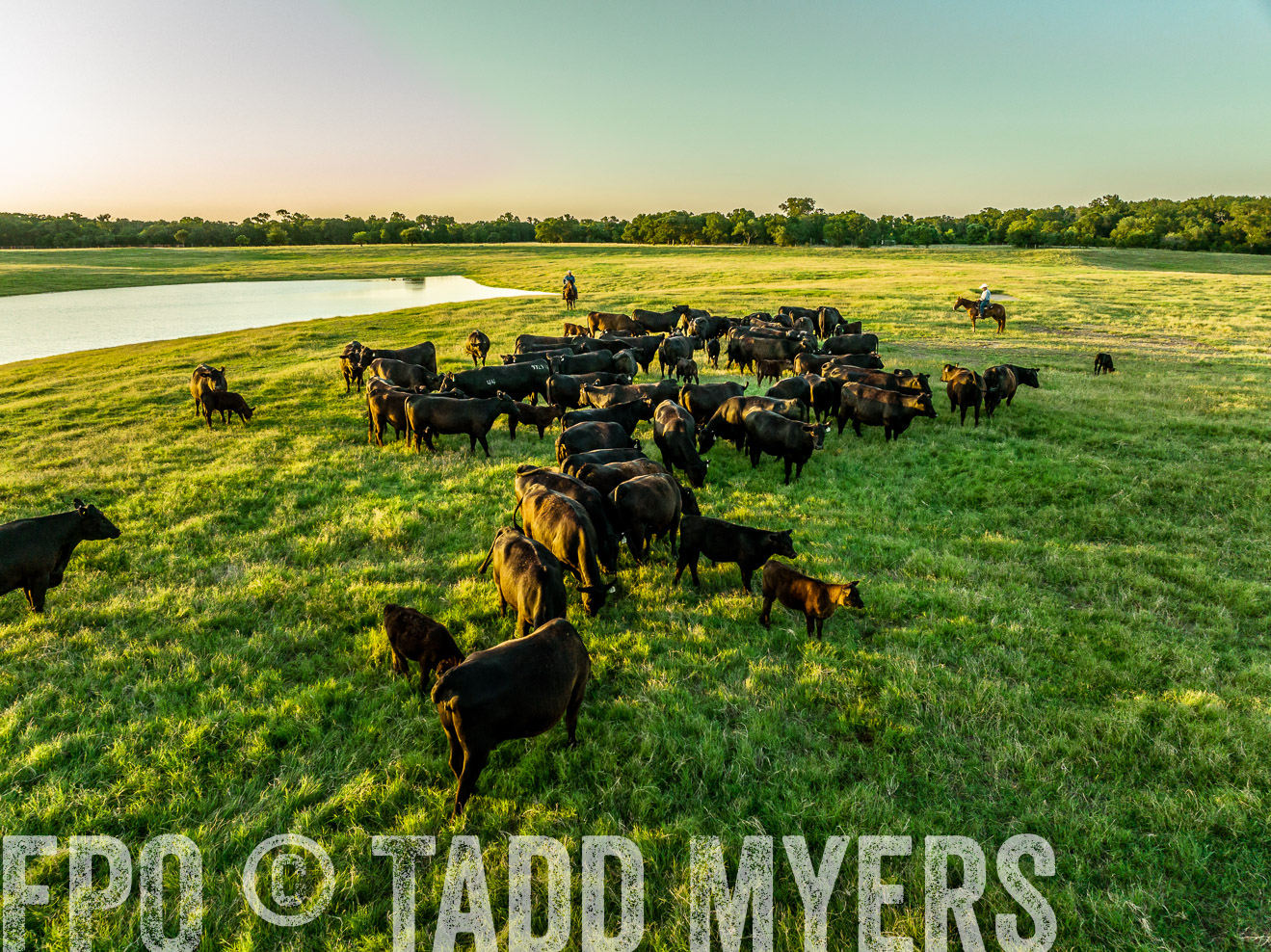 TMyers_Cameron_June2022-0270