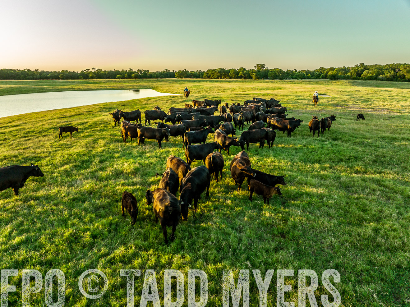 TMyers_Cameron_June2022-0275