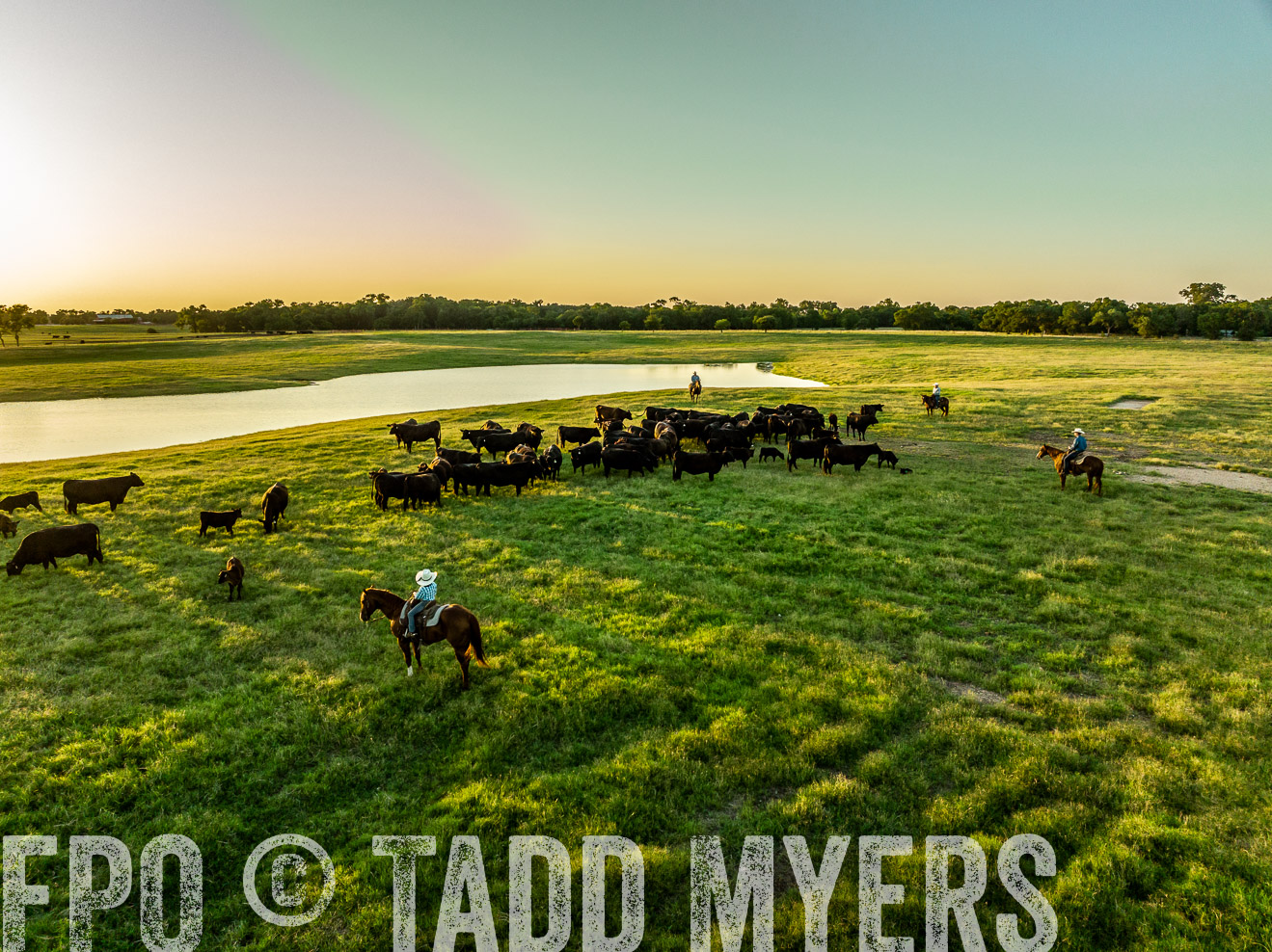 TMyers_Cameron_June2022-0280