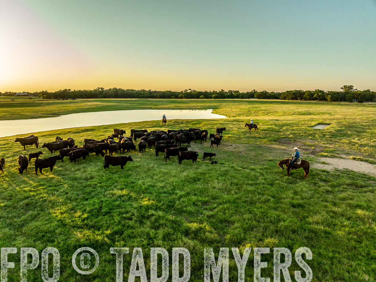 TMyers_Cameron_June2022-0284