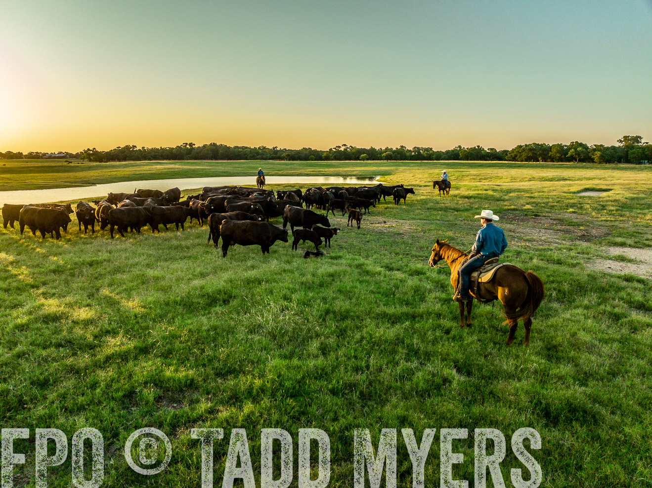 TMyers_Cameron_June2022-0298