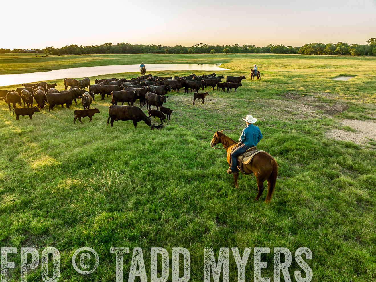 TMyers_Cameron_June2022-0311