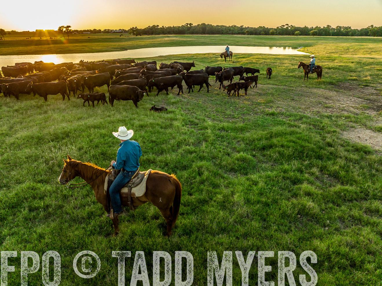 TMyers_Cameron_June2022-0320
