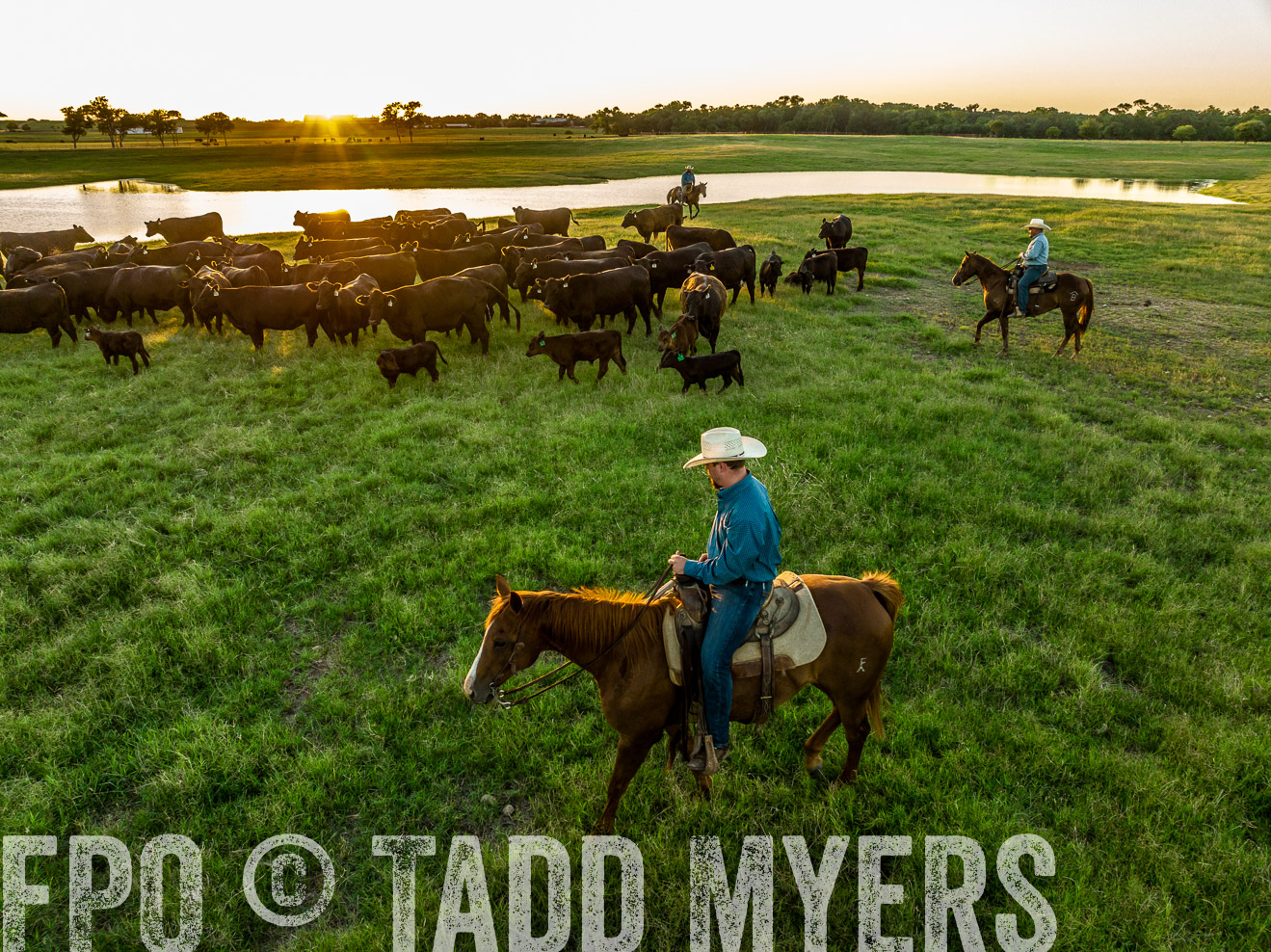 TMyers_Cameron_June2022-0329