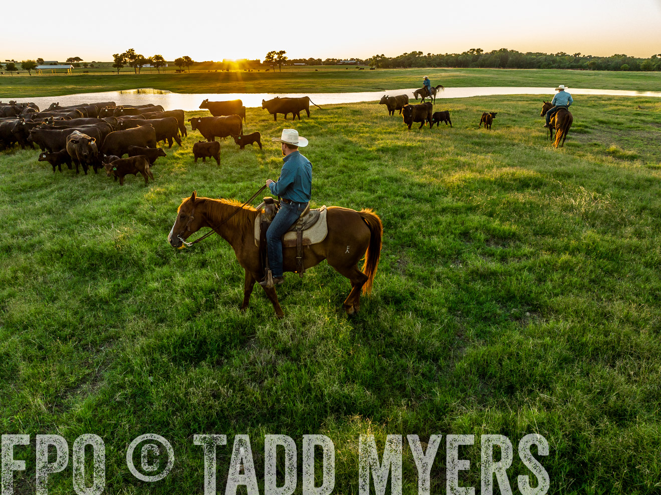 TMyers_Cameron_June2022-0345