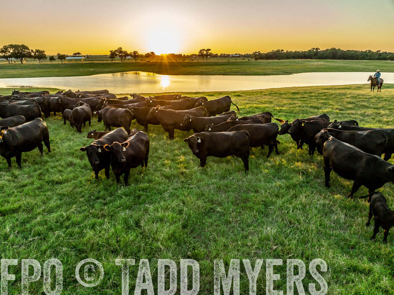 TMyers_Cameron_June2022-0363