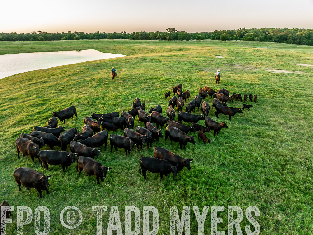 TMyers_Cameron_June2022-0371