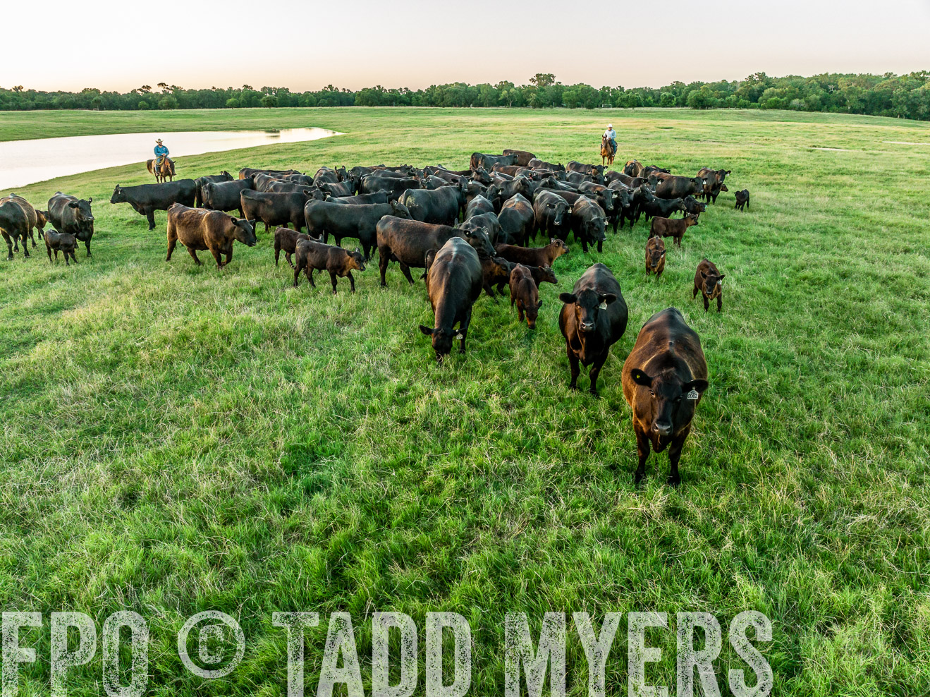 TMyers_Cameron_June2022-0384