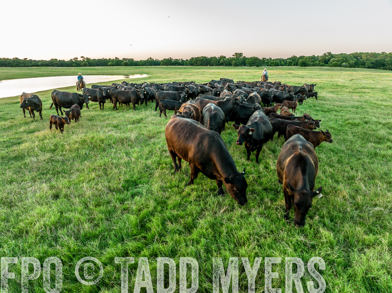 TMyers_Cameron_June2022-0385