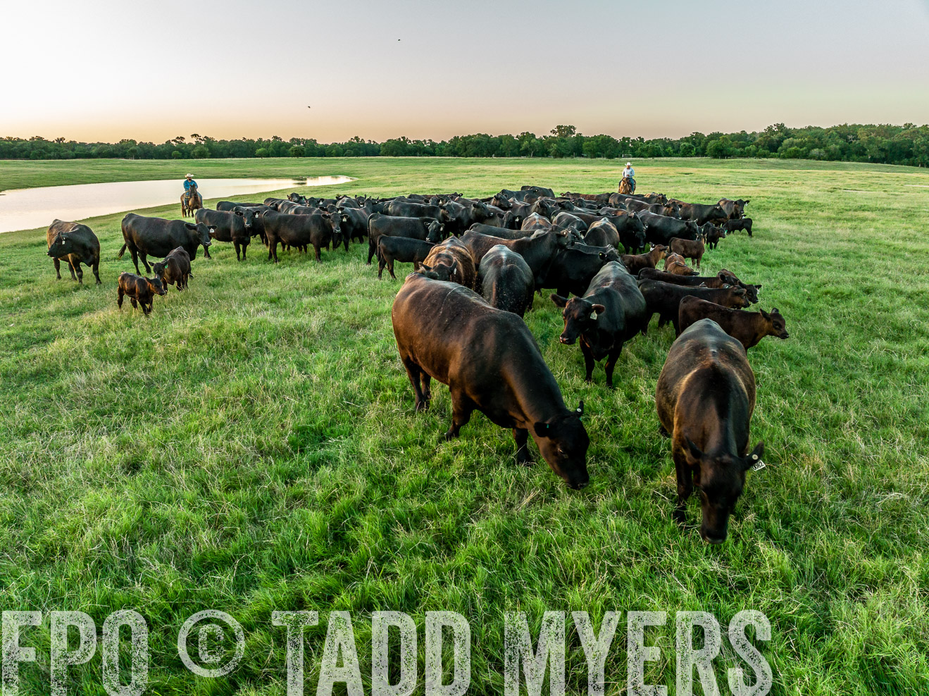 TMyers_Cameron_June2022-0386