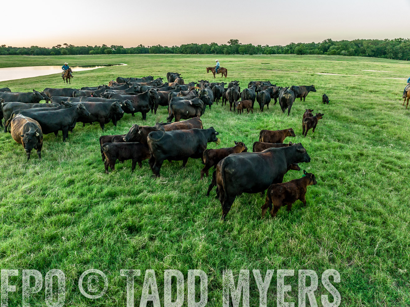 TMyers_Cameron_June2022-0408