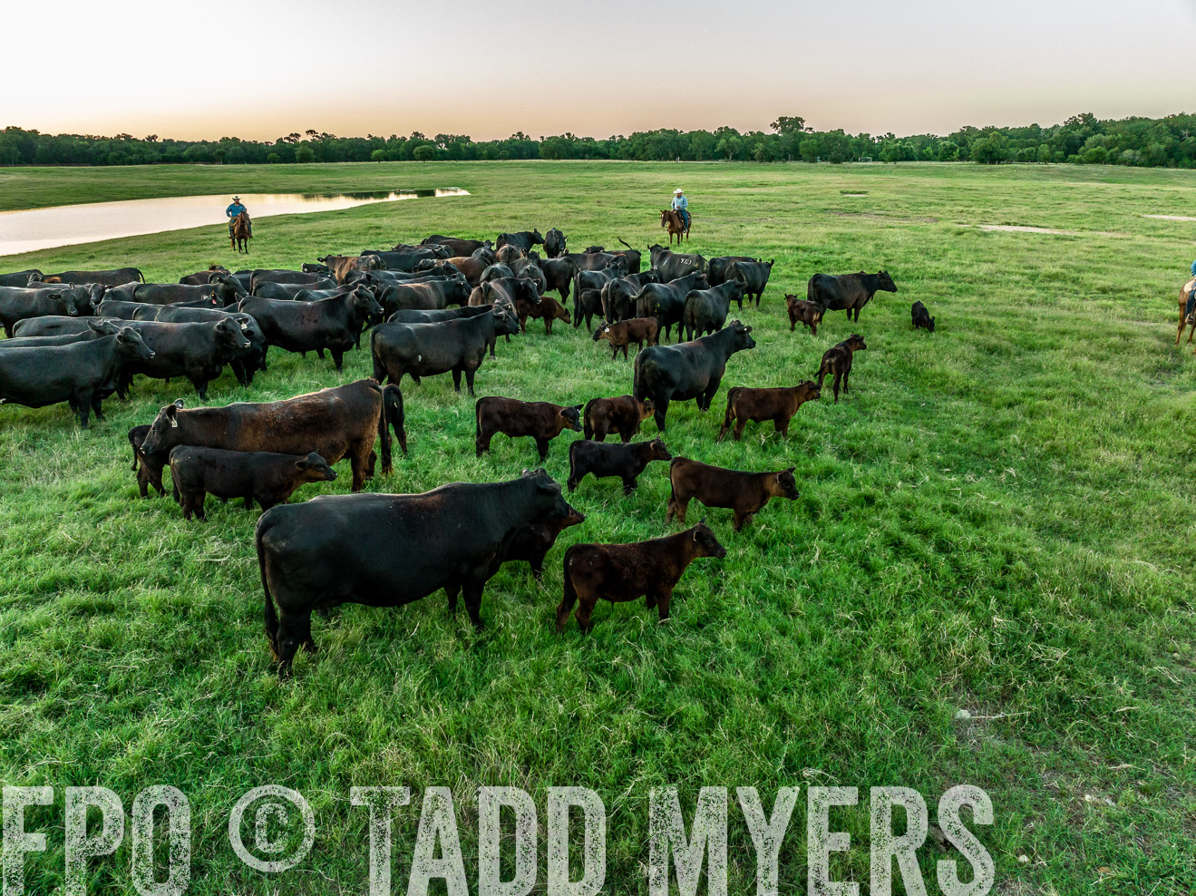 TMyers_Cameron_June2022-0410