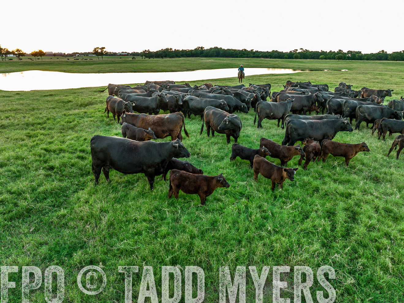 TMyers_Cameron_June2022-0414