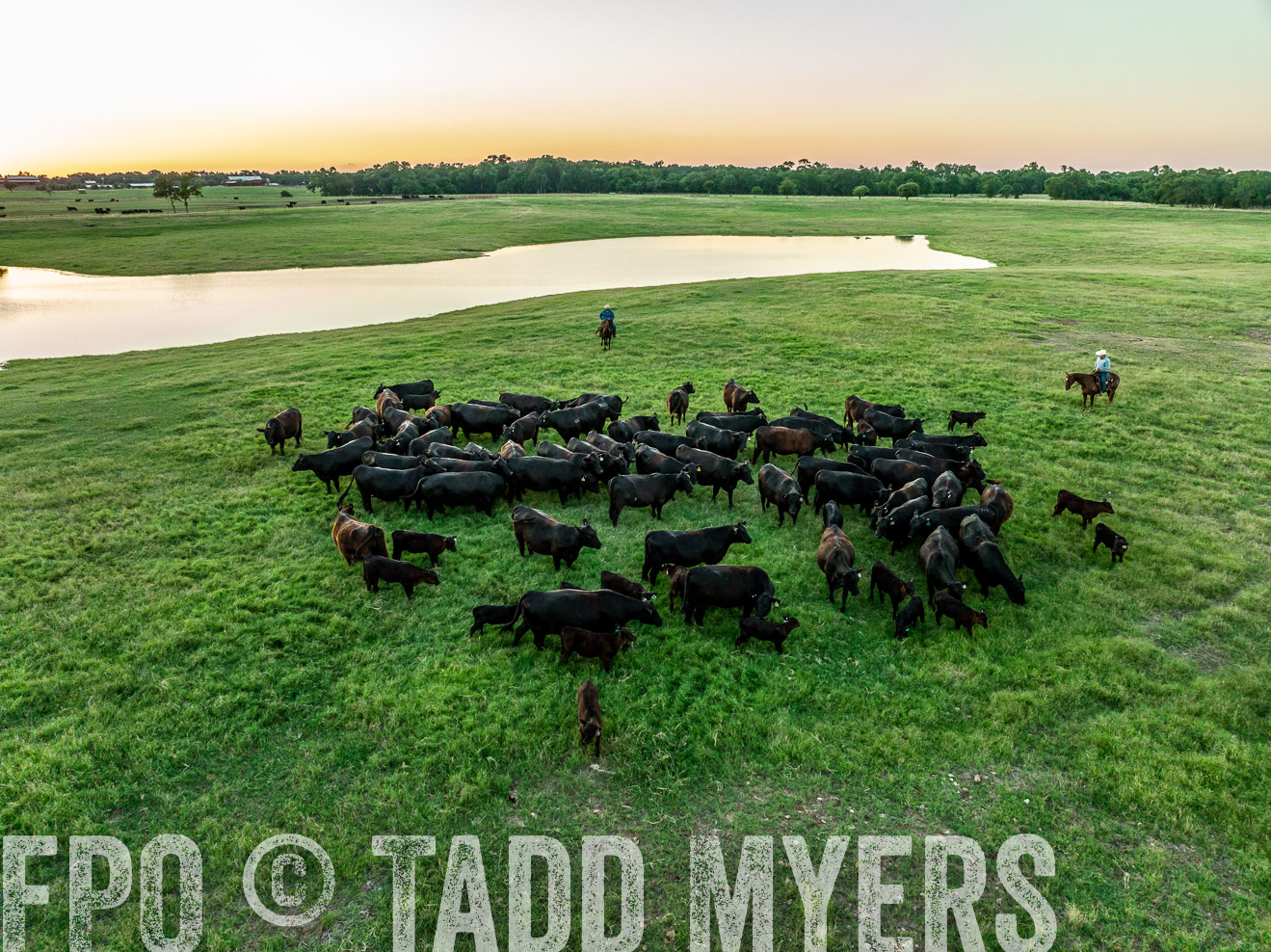 TMyers_Cameron_June2022-0420