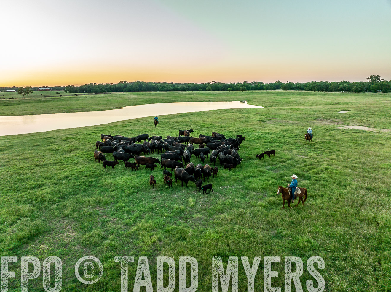 TMyers_Cameron_June2022-0424