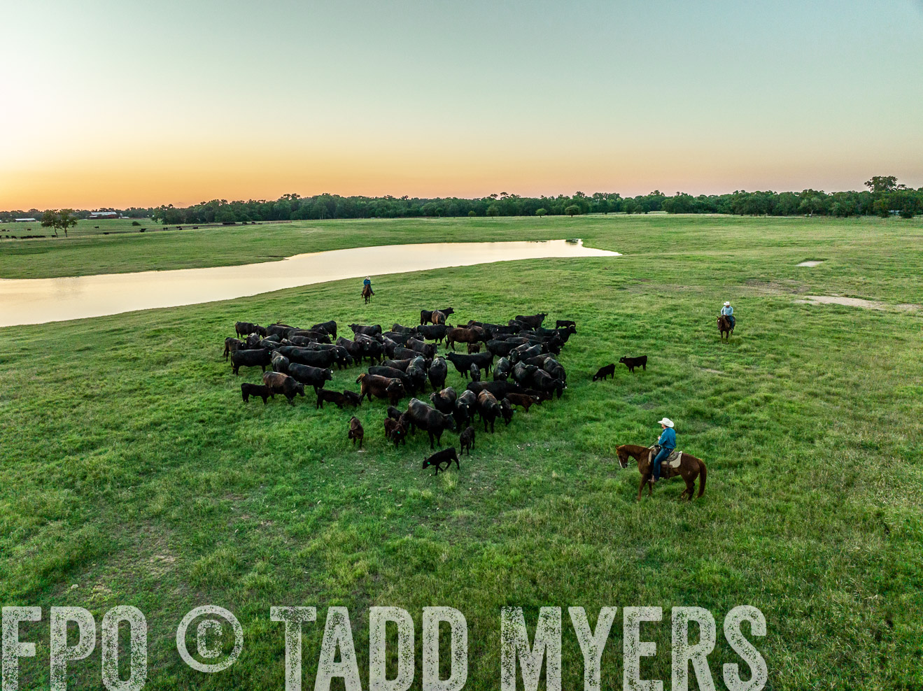 TMyers_Cameron_June2022-0427