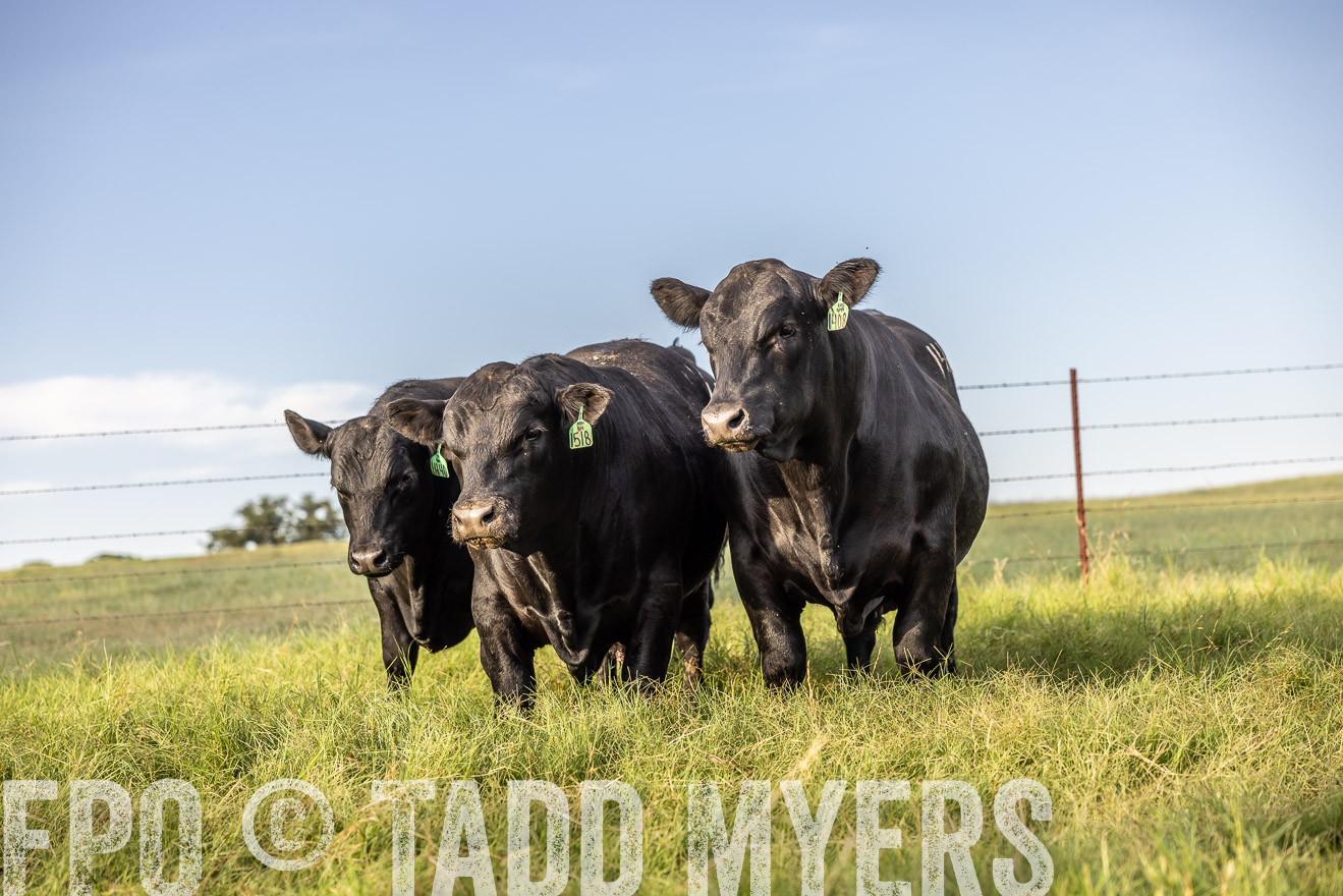 TMyers_Cameron_June2022-520110